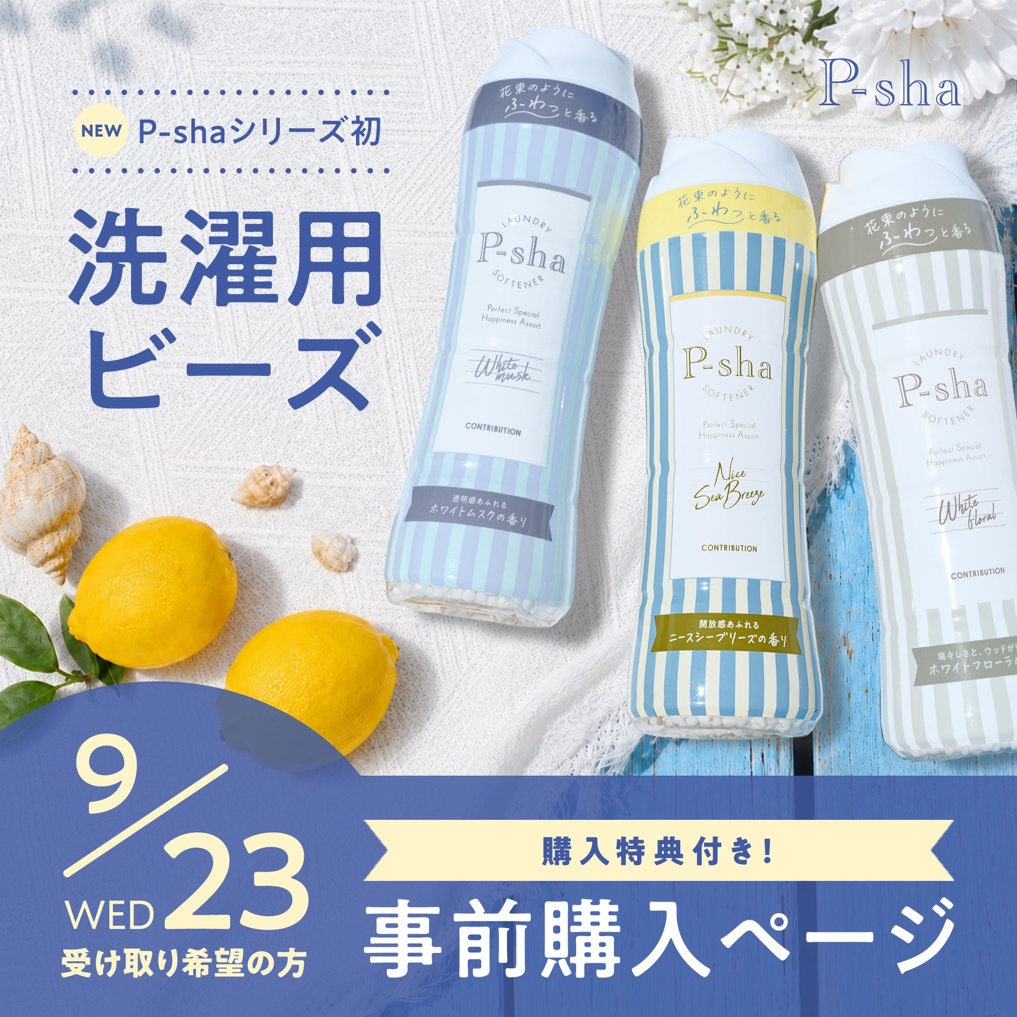 【9/23(水)】P-sha 洗濯用ビーズ 事前購入専用ページ